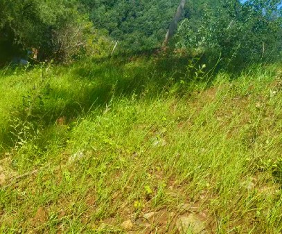 柳關(guān)欒盧鉛鋅礦|治理排土“瘡疤”，繪就綠色畫卷